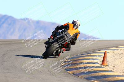 media/Jan-09-2022-SoCal Trackdays (Sun) [[2b1fec8404]]/Turn 12 Backside (130pm)/